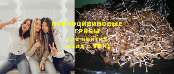 a pvp Алзамай