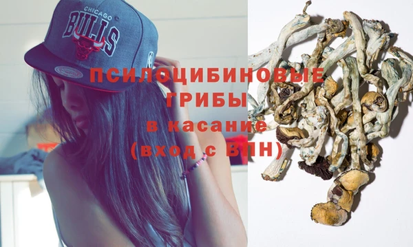 крисы Алексин