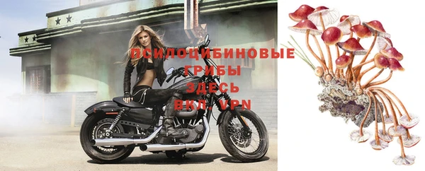 эйфоретик Няндома