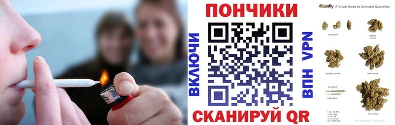 МЕГА зеркало  Бакал  Канабис сатива 